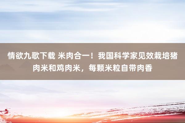 情欲九歌下载 米肉合一！我国科学家见效栽培猪肉米和鸡肉米，每颗米粒自带肉香