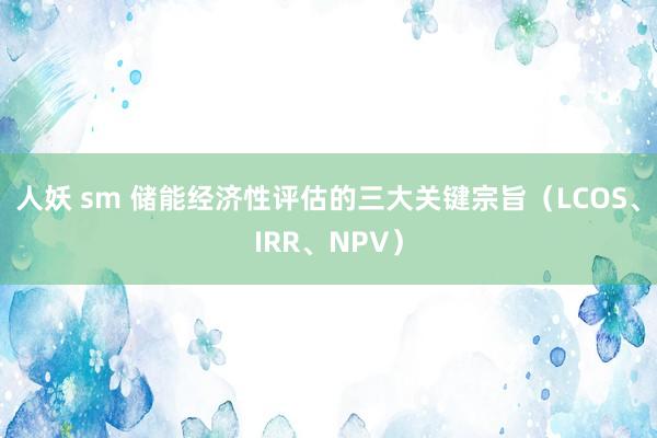 人妖 sm 储能经济性评估的三大关键宗旨（LCOS、IRR、NPV）