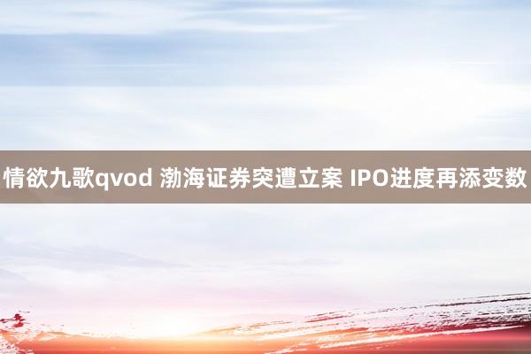 情欲九歌qvod 渤海证券突遭立案 IPO进度再添变数