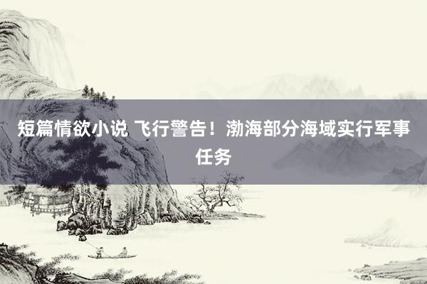 短篇情欲小说 飞行警告！渤海部分海域实行军事任务