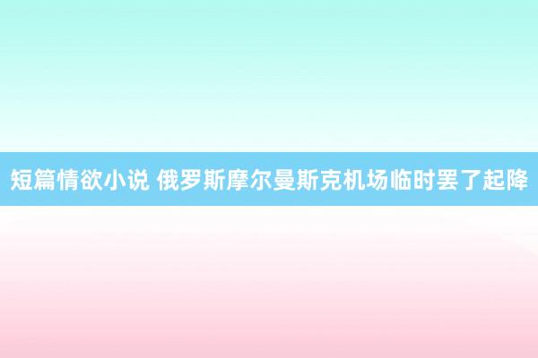 短篇情欲小说 俄罗斯摩尔曼斯克机场临时罢了起降