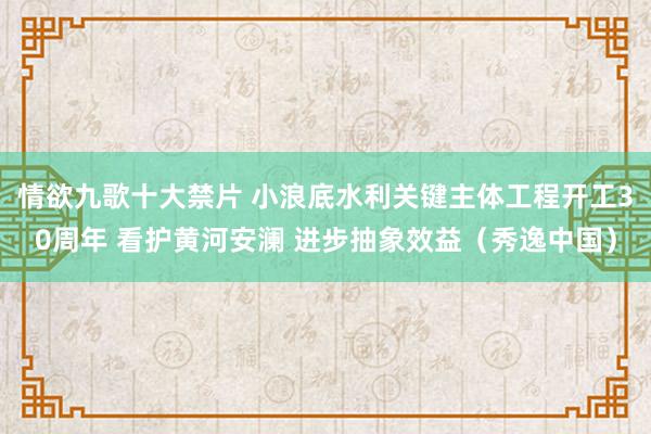 情欲九歌十大禁片 小浪底水利关键主体工程开工30周年 看护黄河安澜 进步抽象效益（秀逸中国）