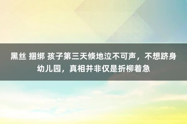 黑丝 捆绑 孩子第三天倏地泣不可声，不想跻身幼儿园，真相并非仅是折柳着急