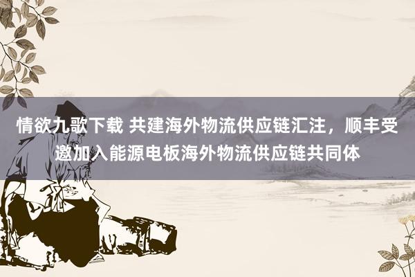 情欲九歌下载 共建海外物流供应链汇注，顺丰受邀加入能源电板海外物流供应链共同体