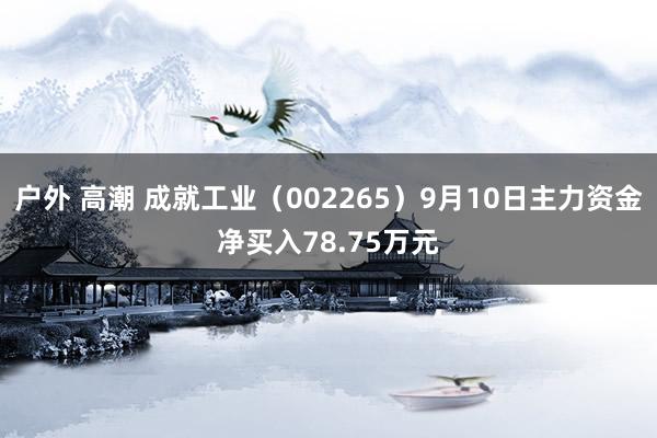 户外 高潮 成就工业（002265）9月10日主力资金净买入78.75万元