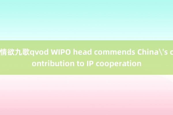 情欲九歌qvod WIPO head commends China's contribution to IP cooperation