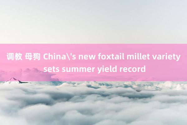 调教 母狗 Chinas new foxtail millet variety sets summer yield record