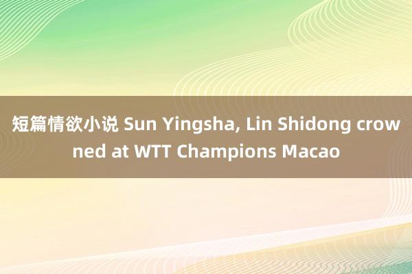 短篇情欲小说 Sun Yingsha, Lin Shidong crowned at WTT Champions Macao