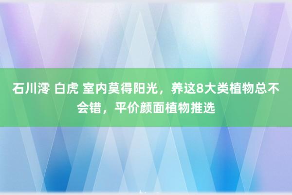 石川澪 白虎 室内莫得阳光，养这8大类植物总不会错，平价颜面植物推选