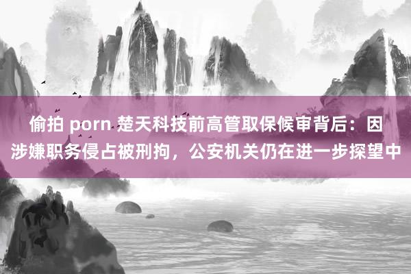 偷拍 porn 楚天科技前高管取保候审背后：因涉嫌职务侵占被刑拘，公安机关仍在进一步探望中