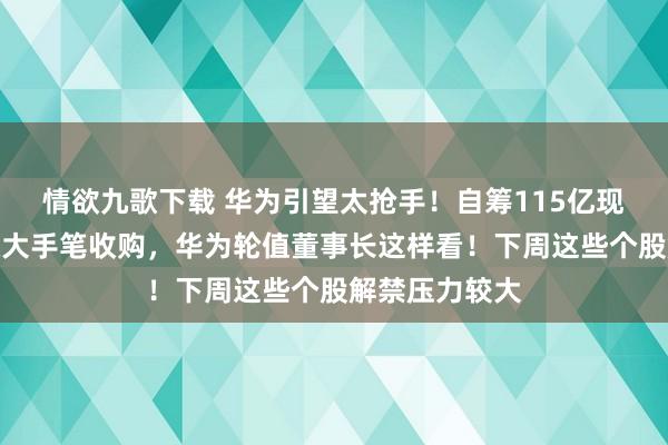 情欲九歌下载 华为引望太抢手！自筹115亿现款，赛力斯拟大手笔收购，华为轮值董事长这样看！下周这些个股解禁压力较大