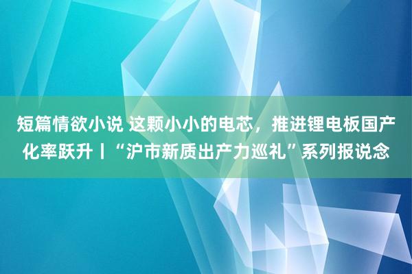 短篇情欲小说 这颗小小的电芯，推进锂电板国产化率跃升丨“沪市新质出产力巡礼”系列报说念