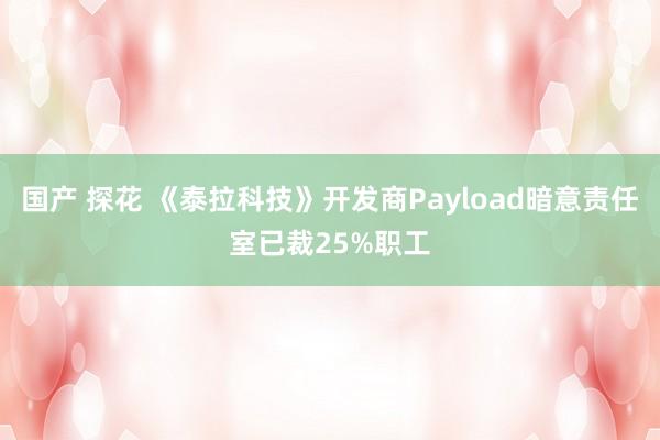 国产 探花 《泰拉科技》开发商Payload暗意责任室已裁25%职工