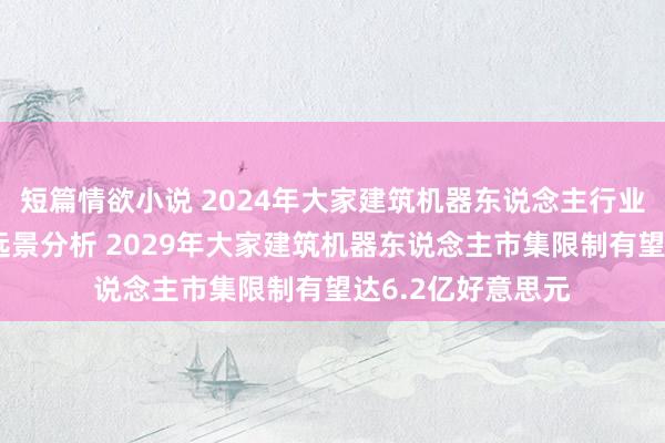 短篇情欲小说 2024年大家建筑机器东说念主行业市集近况及发展远景分析 2029年大家建筑机器东说念主市集限制有望达6.2亿好意思元