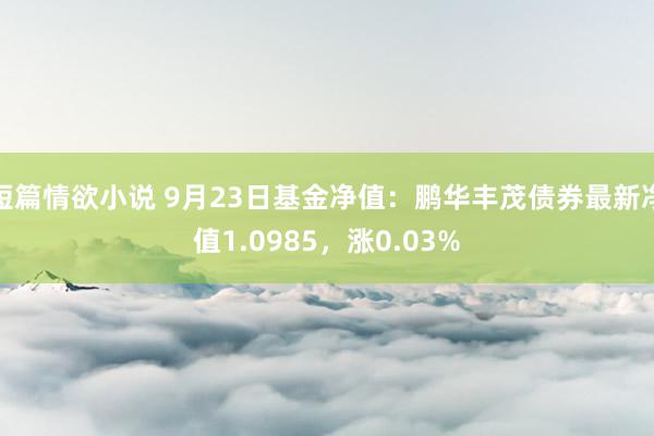 短篇情欲小说 9月23日基金净值：鹏华丰茂债券最新净值1.0985，涨0.03%