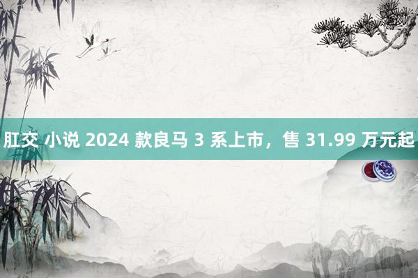 肛交 小说 2024 款良马 3 系上市，售 31.99 万元起