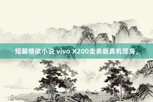 短篇情欲小说 vivo X200圭表版真机现身，