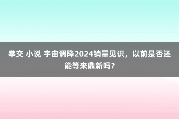 拳交 小说 宇宙调降2024销量见识，以前是否还能等来鼎新吗？