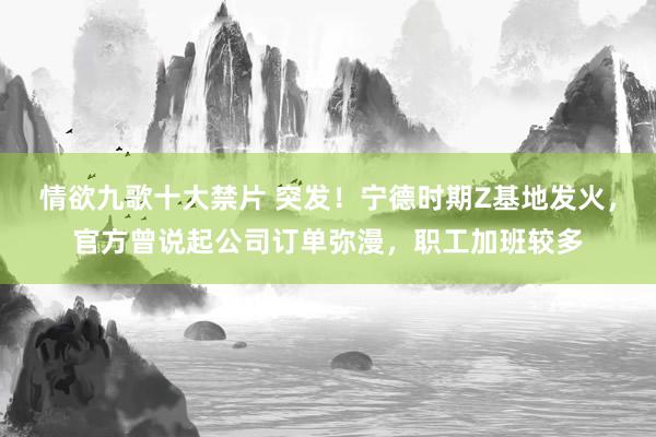 情欲九歌十大禁片 突发！宁德时期Z基地发火，官方曾说起公司订单弥漫，职工加班较多