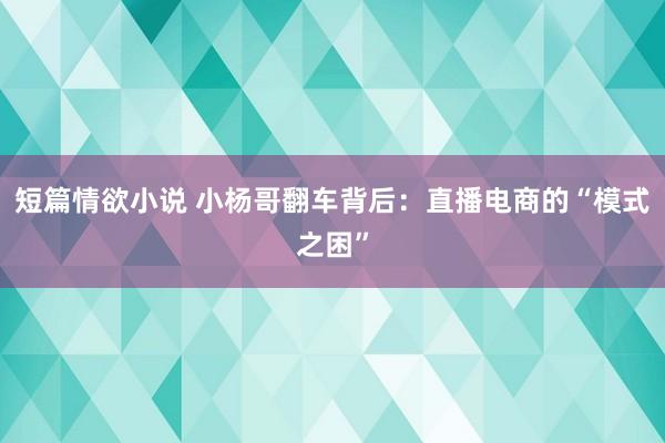 短篇情欲小说 小杨哥翻车背后：直播电商的“模式之困”