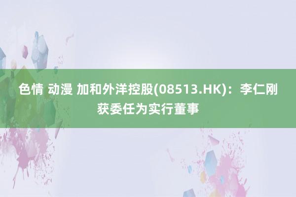 色情 动漫 加和外洋控股(08513.HK)：李仁刚获委任为实行董事