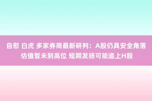 自慰 白虎 多家券商最新研判：A股仍具安全角落 估值暂未到高位 短期发扬可能追上H股