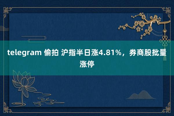 telegram 偷拍 沪指半日涨4.81%，券商股批量涨停