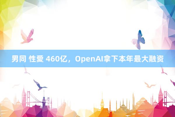 男同 性愛 460亿，OpenAI拿下本年最大融资