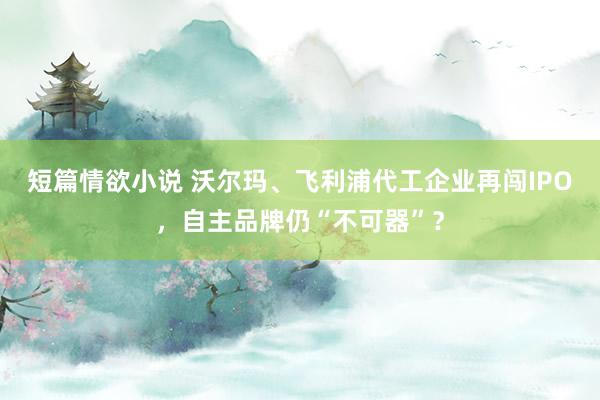 短篇情欲小说 沃尔玛、飞利浦代工企业再闯IPO，自主品牌仍“不可器”？