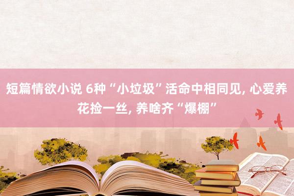 短篇情欲小说 6种“小垃圾”活命中相同见， 心爱养花捡一丝， 养啥齐“爆棚”