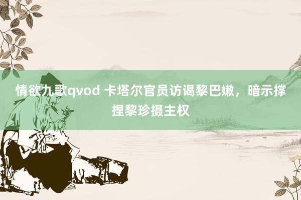 情欲九歌qvod 卡塔尔官员访谒黎巴嫩，暗示撑捏黎珍摄主权