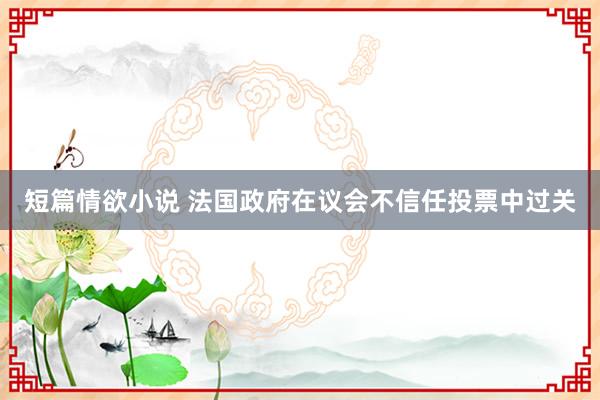 短篇情欲小说 法国政府在议会不信任投票中过关