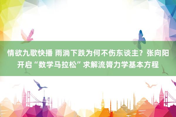 情欲九歌快播 雨淌下跌为何不伤东谈主？张向阳开启“数学马拉松”求解流膂力学基本方程