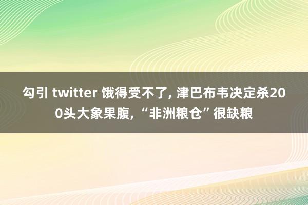 勾引 twitter 饿得受不了， 津巴布韦决定杀200头大象果腹， “非洲粮仓”很缺粮