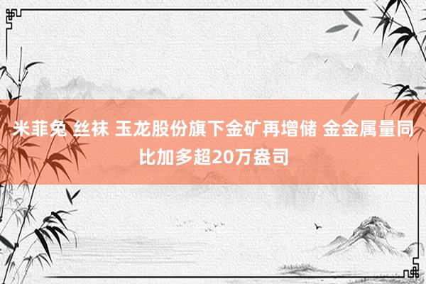 米菲兔 丝袜 玉龙股份旗下金矿再增储 金金属量同比加多超20万盎司