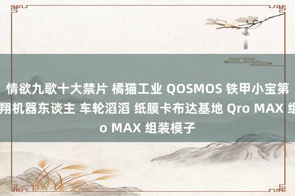 情欲九歌十大禁片 橘猫工业 QOSMOS 铁甲小宝第四弹 飞翔机器东谈主 车轮滔滔 纸膜卡布达基地 Qro MAX 组装模子