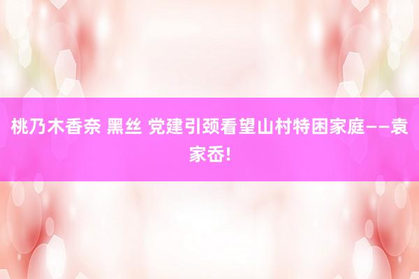 桃乃木香奈 黑丝 党建引颈看望山村特困家庭——袁家岙!