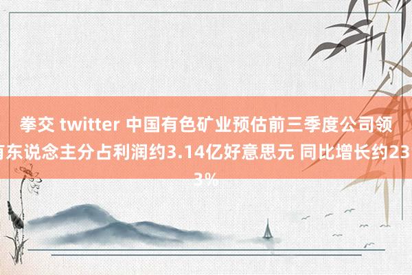 拳交 twitter 中国有色矿业预估前三季度公司领有东说念主分占利润约3.14亿好意思元 同比增长约23%