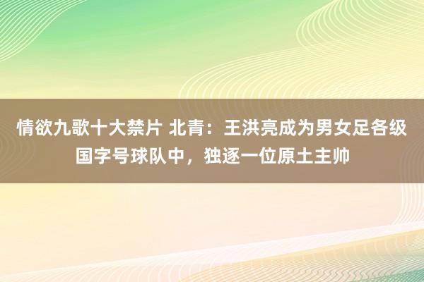 情欲九歌十大禁片 北青：王洪亮成为男女足各级国字号球队中，独逐一位原土主帅