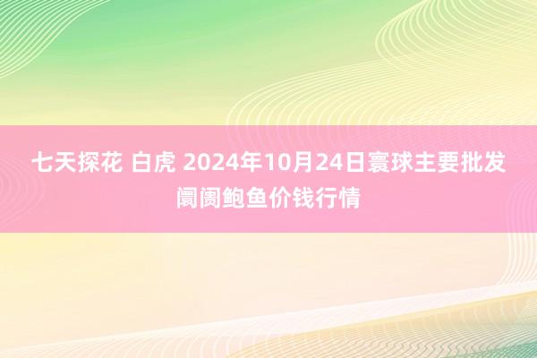 七天探花 白虎 2024年10月24日寰球主要批发阛阓鲍鱼价钱行情