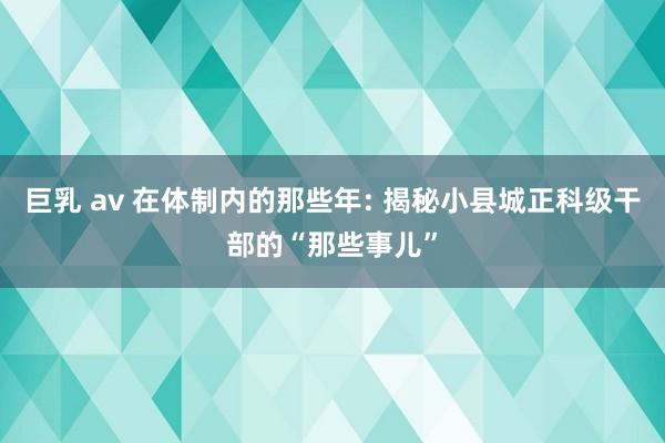 巨乳 av 在体制内的那些年: 揭秘小县城正科级干部的“那些事儿”