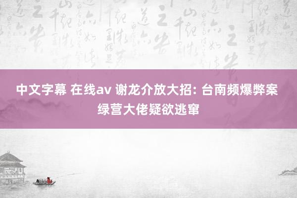 中文字幕 在线av 谢龙介放大招: 台南频爆弊案 绿营大佬疑欲逃窜