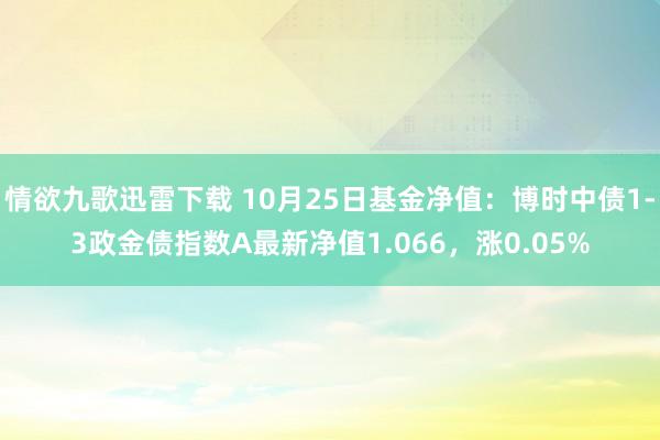 情欲九歌迅雷下载 10月25日基金净值：博时中债1-3政金债指数A最新净值1.066，涨0.05%