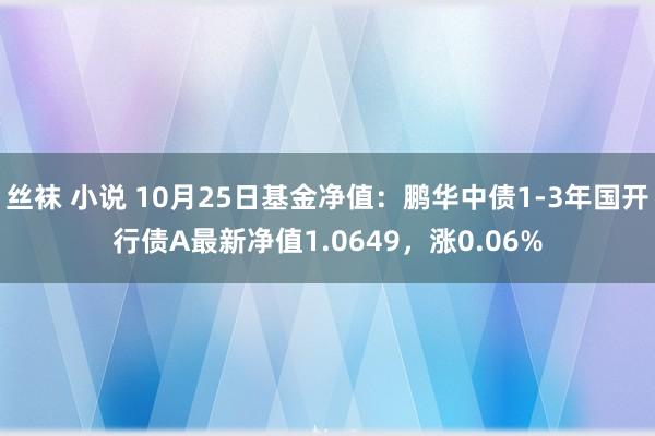 丝袜 小说 10月25日基金净值：鹏华中债1-3年国开行债A最新净值1.0649，涨0.06%