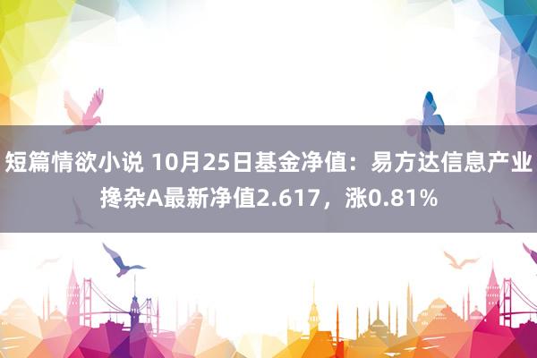 短篇情欲小说 10月25日基金净值：易方达信息产业搀杂A最新净值2.617，涨0.81%