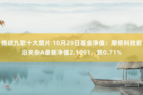 情欲九歌十大禁片 10月29日基金净值：摩根科技前沿夹杂A最新净值2.1091，跌0.71%