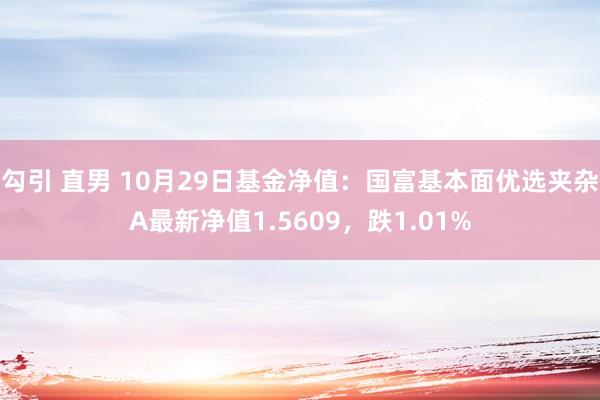 勾引 直男 10月29日基金净值：国富基本面优选夹杂A最新净值1.5609，跌1.01%