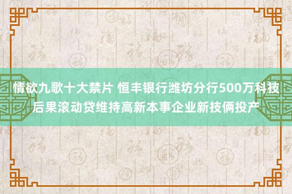 情欲九歌十大禁片 恒丰银行潍坊分行500万科技后果滚动贷维持高新本事企业新技俩投产