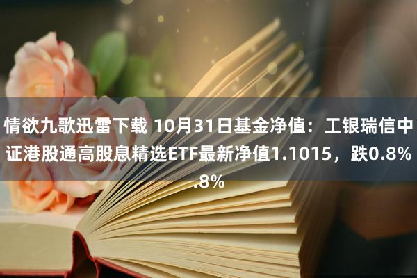 情欲九歌迅雷下载 10月31日基金净值：工银瑞信中证港股通高股息精选ETF最新净值1.1015，跌0.8%