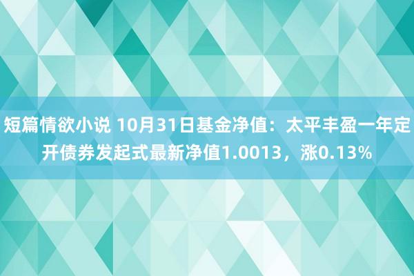 短篇情欲小说 10月31日基金净值：太平丰盈一年定开债券发起式最新净值1.0013，涨0.13%